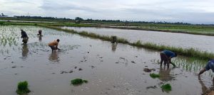 IMG-20251216-WA0166